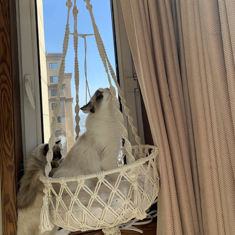 Hamac pour chat suspendu design moderne avec chat blanc confortable