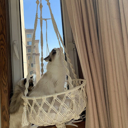 Hamac pour chat suspendu design moderne avec chat blanc confortable