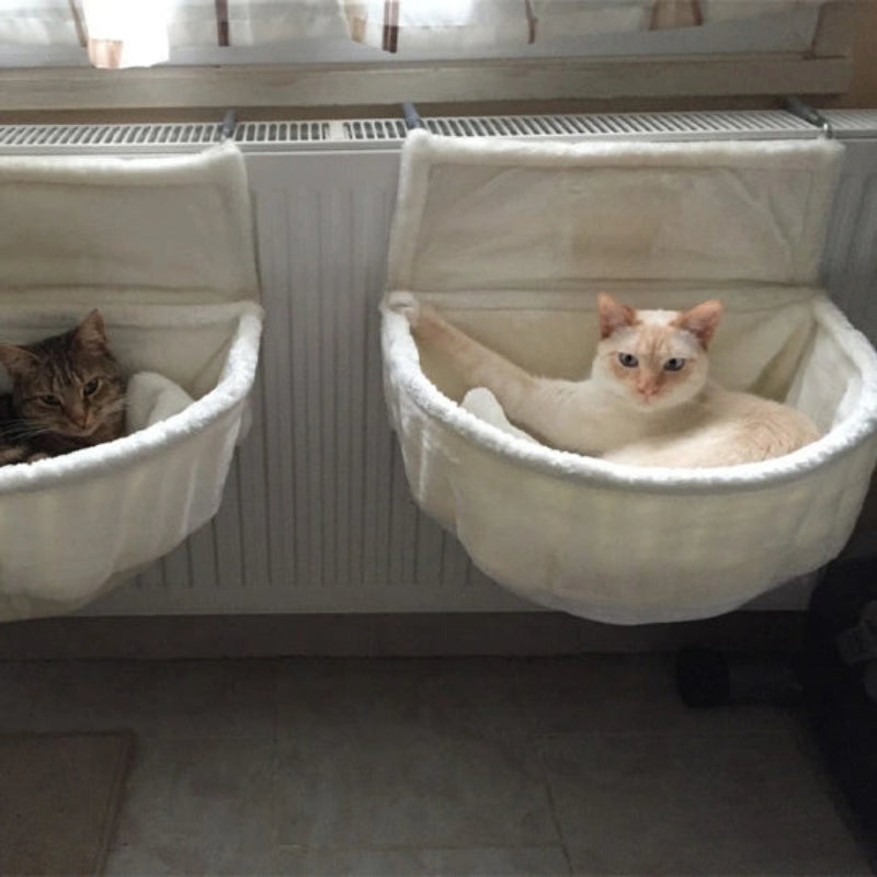 hamac radiateur pour chat blanc avec deux chats