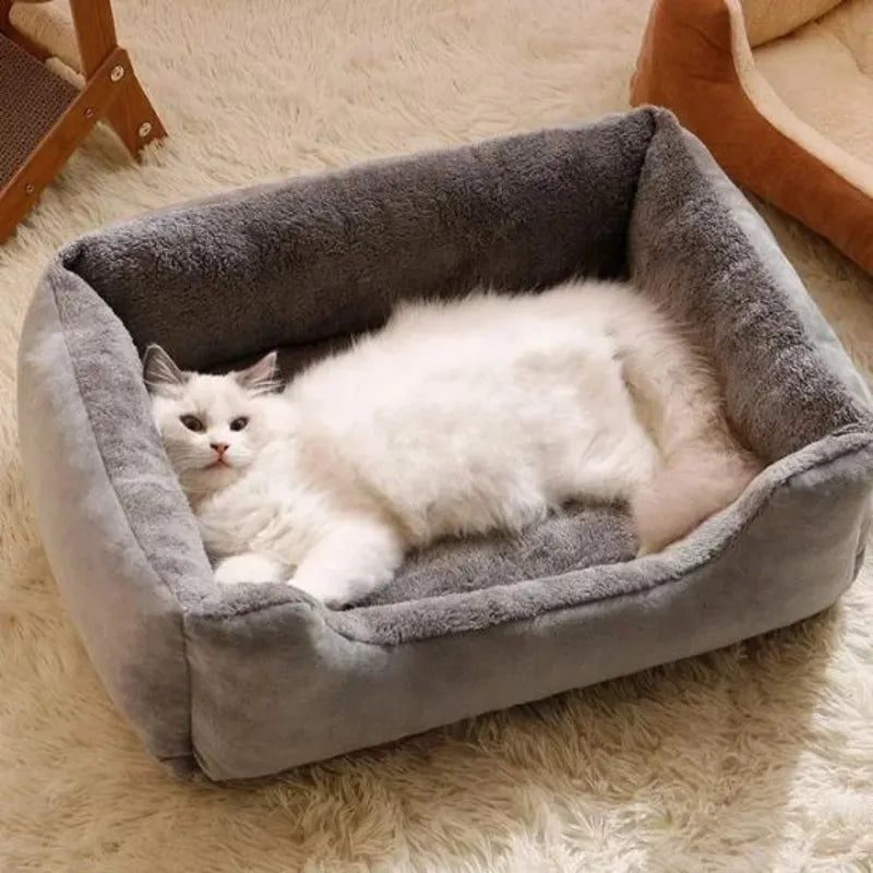 lit pour chat gris avec un chat blanc étendu à l’intérieur