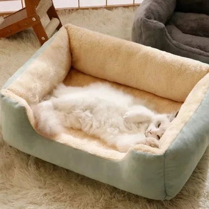 Lit pour chat vert avec un chat blanc allongé à l’intérieur