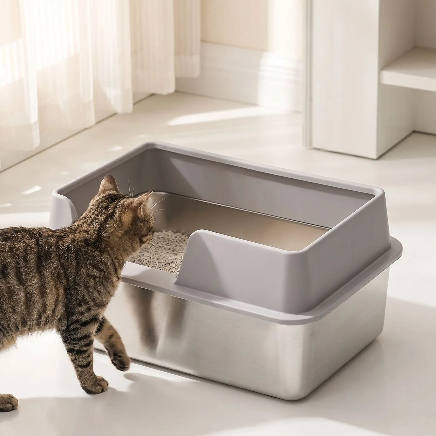 Litière en inox grise avec chat dans salon moderne