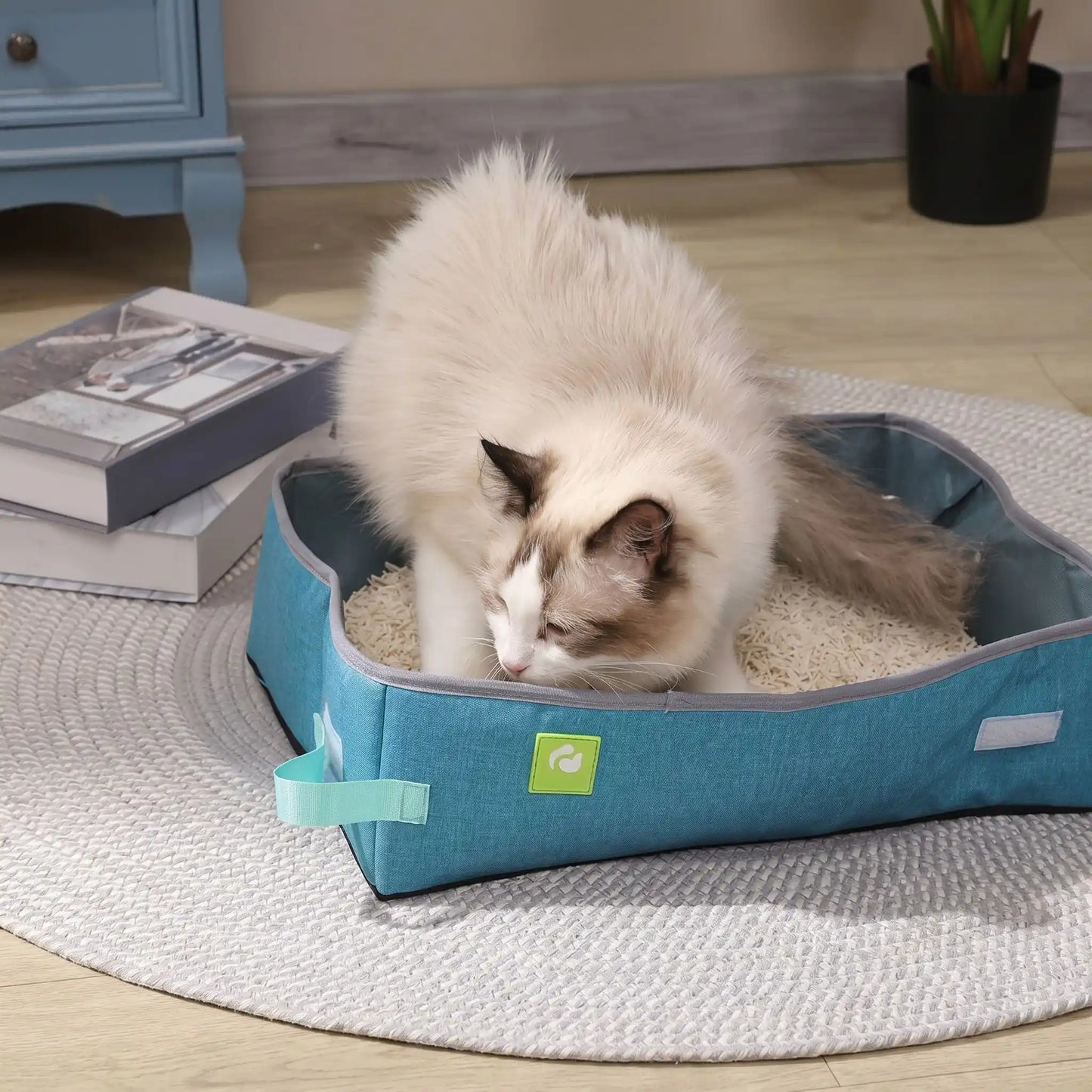 litière de voyage pour chat bleu avec chat blanc à l’intérieur