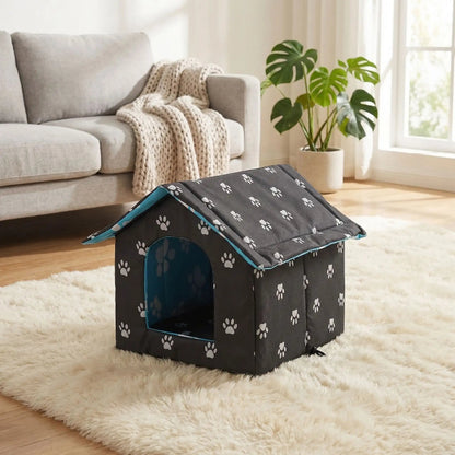maison extérieur pour chat sur tapis dans salon lumineux