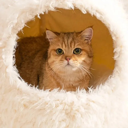 Maison pour les chats en peluche douce avec chat roux
