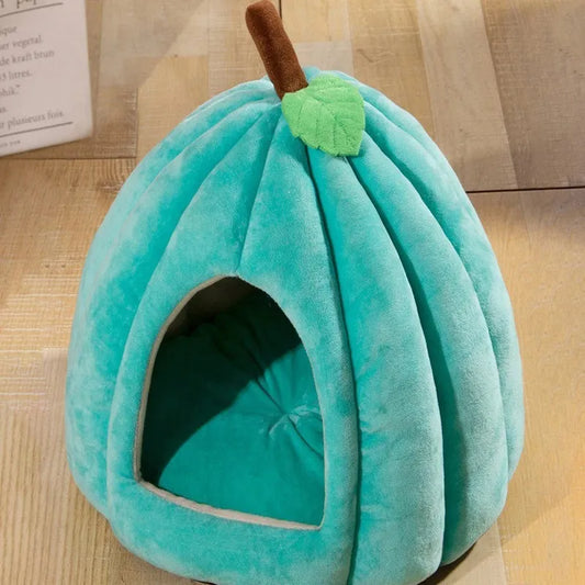 Maison pour chat turquoise citrouille confortable et originale