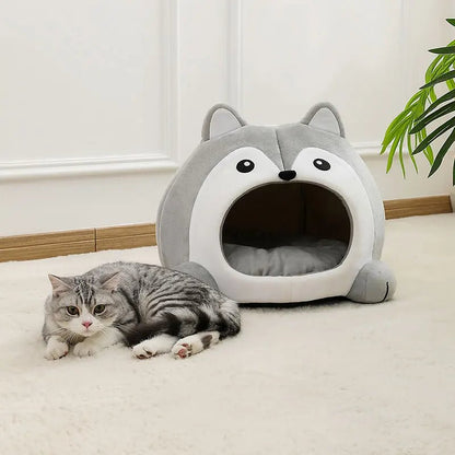 niche pour chat intérieur renard avec chat allongé à l’extérieur