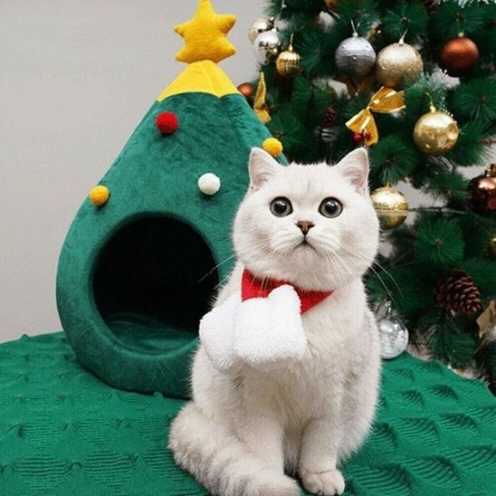 Niche pour chat avec un sapin de Noël et un chat blanc