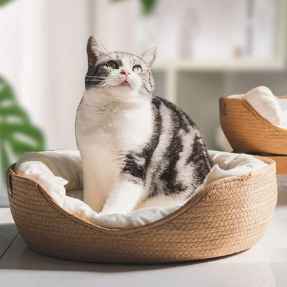 panier pour chat en rotin avec chat gris et blanc