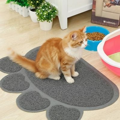 Tapis litière Chat avec chat roux assis