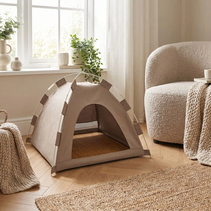 Tente chat café moderne dans salon cosy lumineux avec décoration élégante