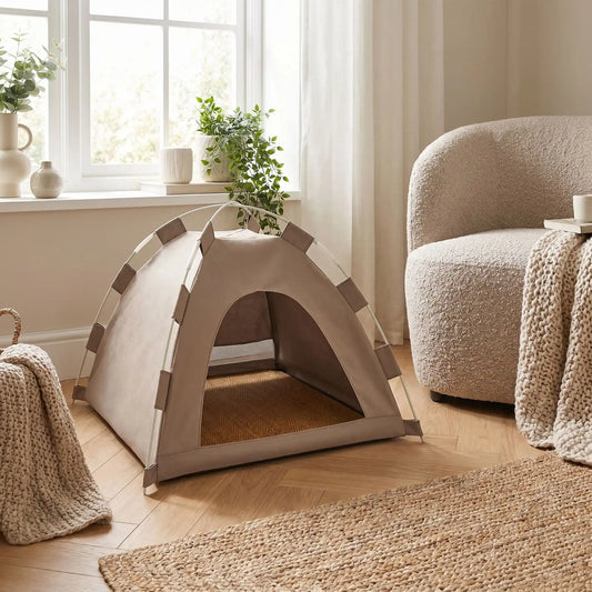 Tente chat café moderne dans salon cosy lumineux avec décoration élégante