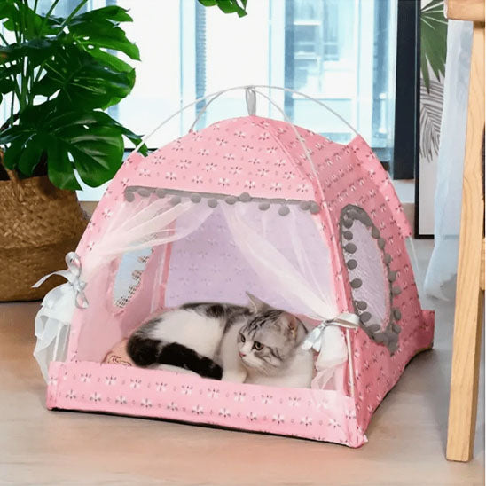 Tente pour chat rose avec coussin confortable et chat gris