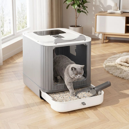 Maison de toilette chat grise avec chat gris à l’intérieur